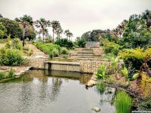 Sydney Park #806648 picture (Landscape Medium)