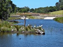 Sydney Park