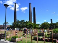Sydney Park