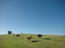 Sydney Park