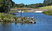 Sydney Park