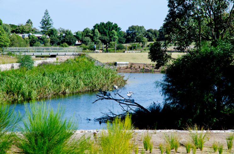 Sydney Park