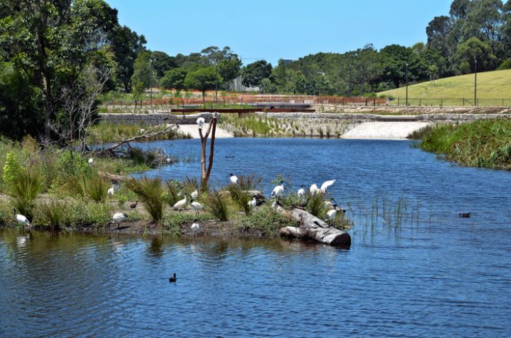 Sydney Park