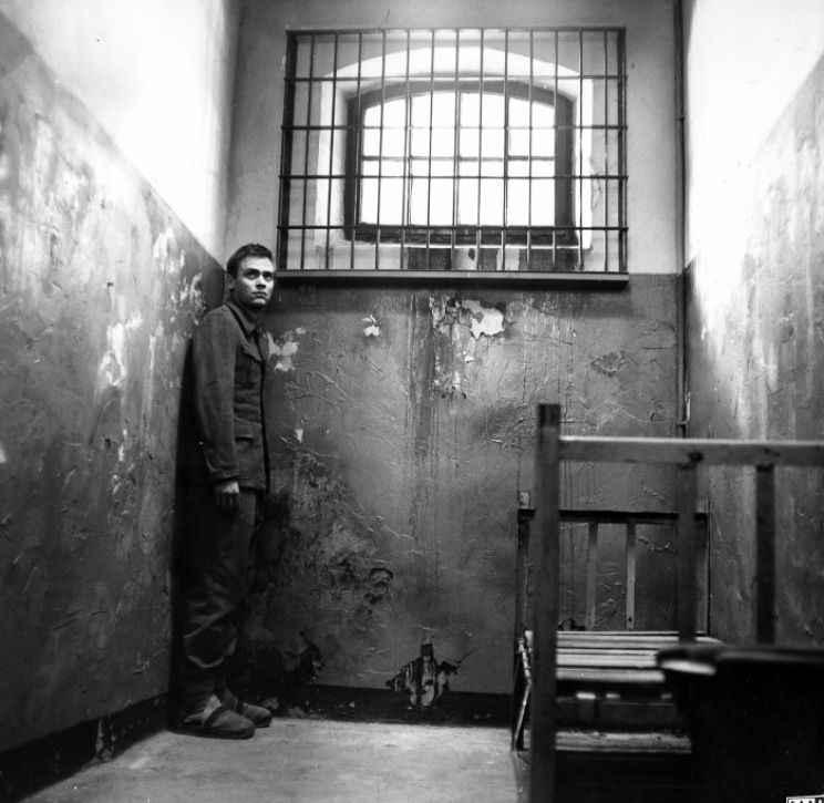 Sylvester Groth
