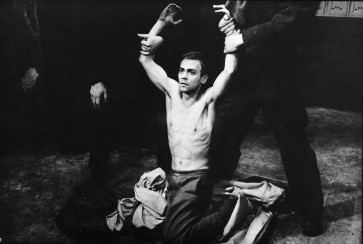 Sylvester Groth