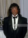 Sylvester Stallone