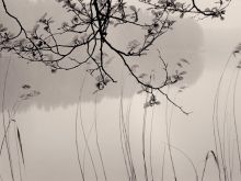Sylvia Plachy