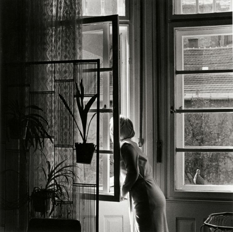 Sylvia Plachy