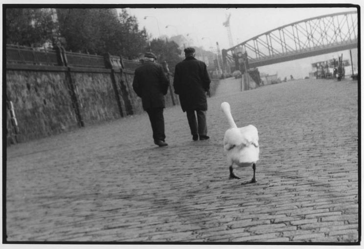 Sylvia Plachy