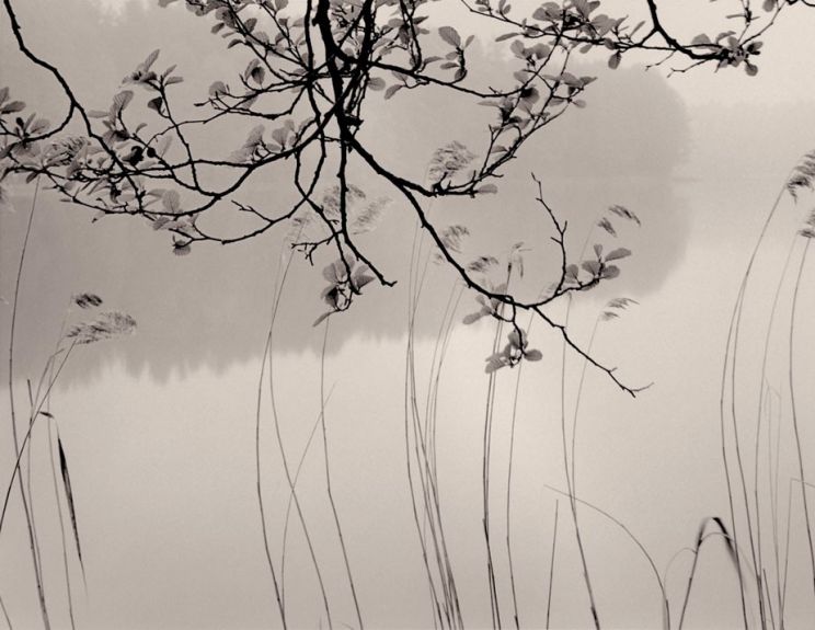 Sylvia Plachy