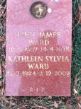 Sylvia Ward