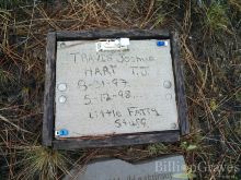 T.J. Hart
