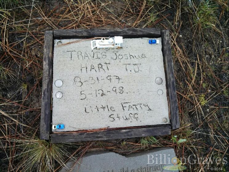 T.J. Hart