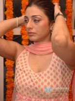 Tabu #680559 picture (Portrait Medium)