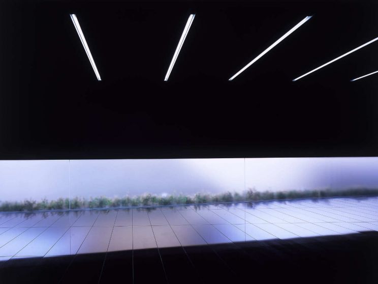 Takashi Yamaguchi