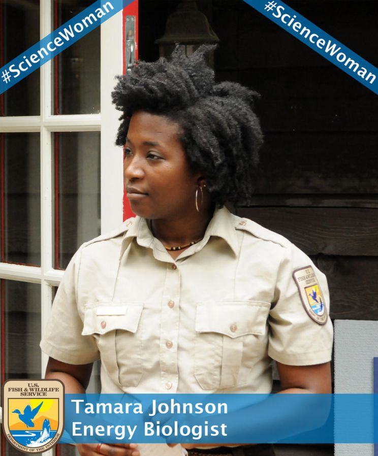 Tamara Johnson