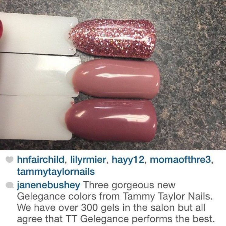 Tammy Taylor
