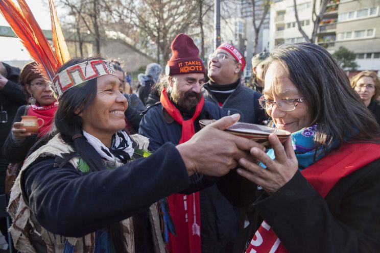 Tantoo Cardinal