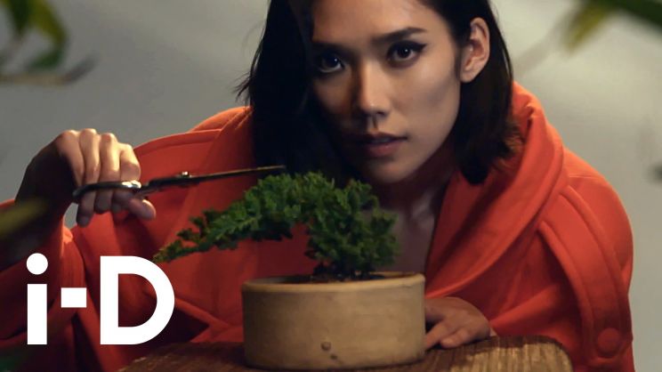 Tao Okamoto