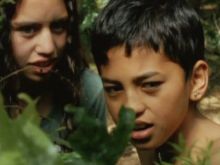 Taungaroa Emile