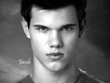 Taylor Lautner