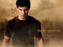 Taylor Lautner