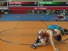 Taylor Weaver