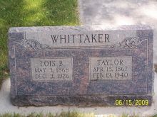 Taylor Whittaker photo