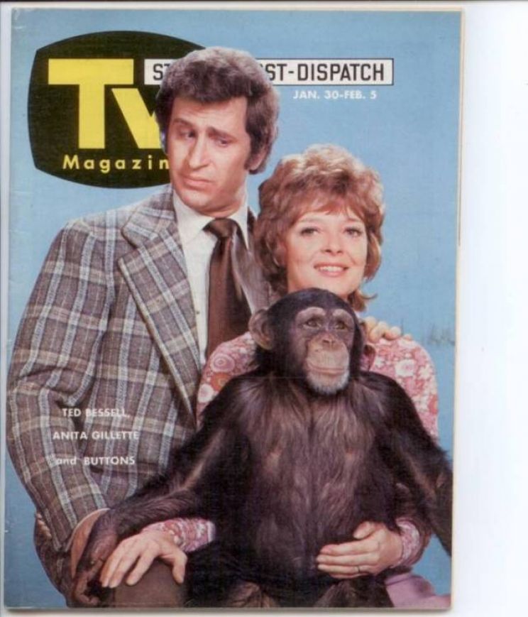 Ted Bessell