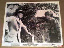 Ted Eccles #2747871 picture (Landscape Medium)