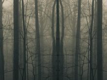 Ted Geoghegan
