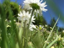 Tehya Prantle #4009001 picture (Landscape Medium)