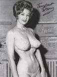 Tempest Storm