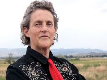Temple Grandin