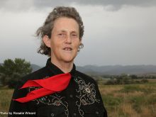 Temple Grandin