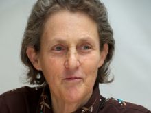 Temple Grandin