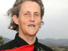 Temple Grandin