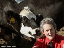 Temple Grandin