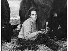Temple Grandin
