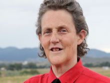 Temple Grandin