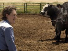 Temple Grandin