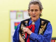 Temple Grandin