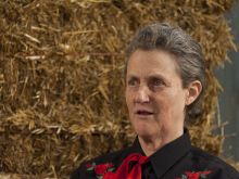 Temple Grandin