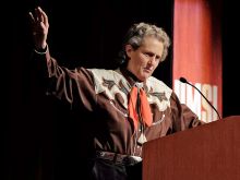 Temple Grandin