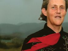 Temple Grandin
