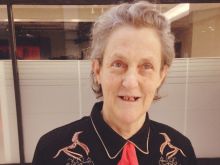 Temple Grandin