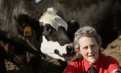 Temple Grandin