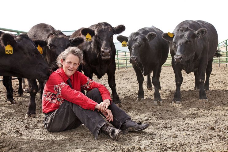 Temple Grandin