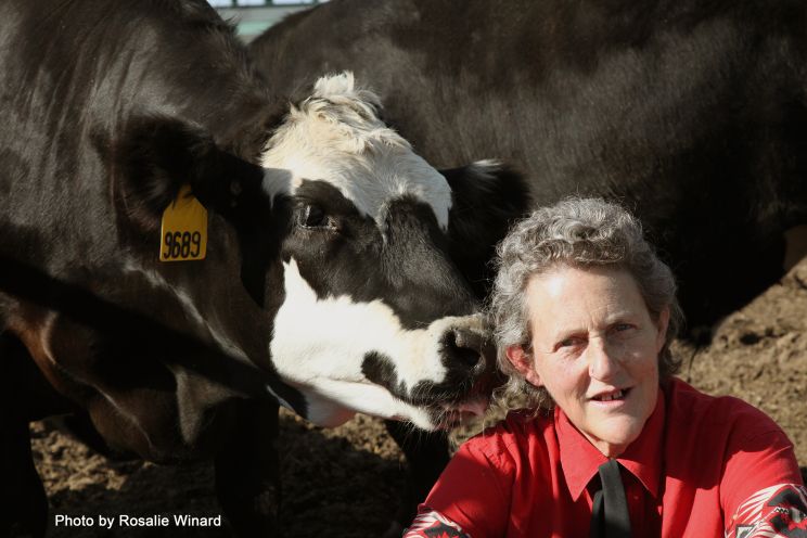 Temple Grandin