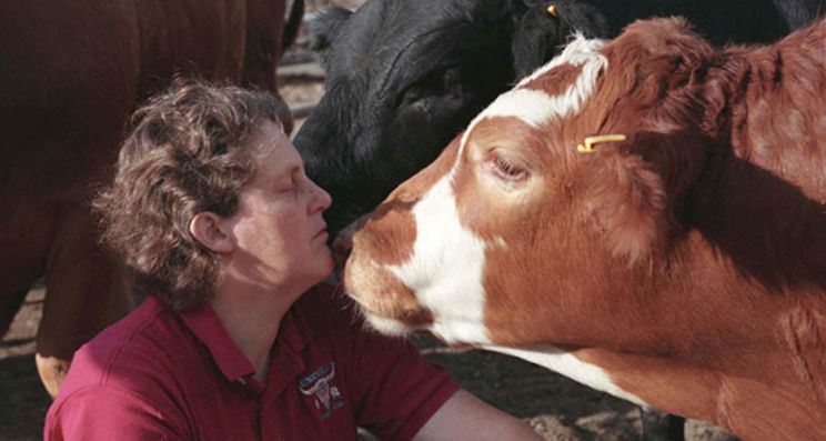 Temple Grandin